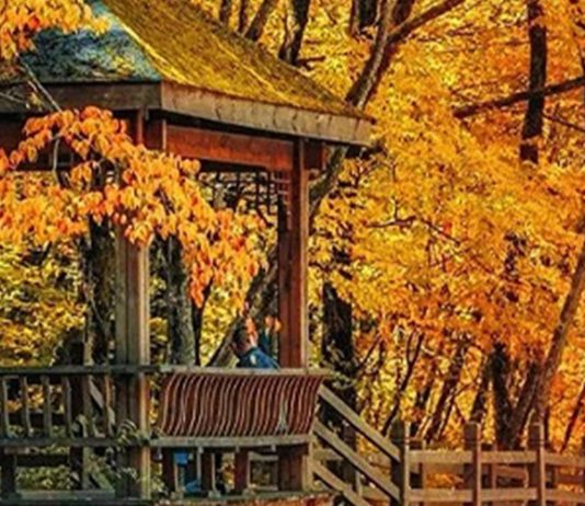 සරත් ඍතුවට හැඩවුණ චීනයේ ගුවැන්ග්වු කඳුකරය…